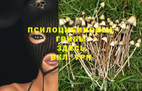 соль курить ск Рославль