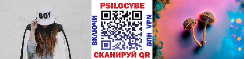 Псилоцибиновые грибы Magic Shrooms  Рудня 